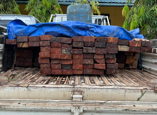 Barbuk kayu jenis ulin yang hendak diangkut dari Barito Utara
