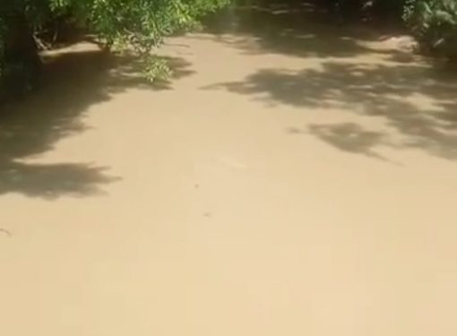 Air Sungai Palili di Desa Muara Inu, Kabupaten Barito Utara berubah keruh dan banyak ikan mati. Diduga lantaran aktivitas tambang batu bara