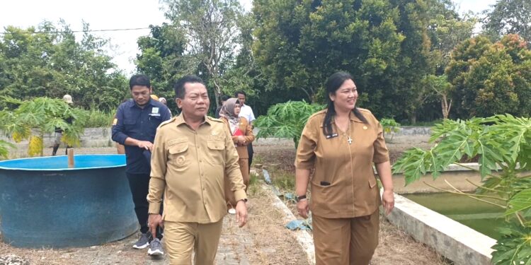Bupati Kapuas H Muhammad Wiyatno didampingi Kepala Dinas Ketahanan Pangan dan Perikanan Kapuas saat meninjau BBI Sei Batang.