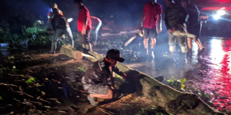 Tim BPBD saat membersihkan pohon yang tumbang di jalan (foto: Istimewa)