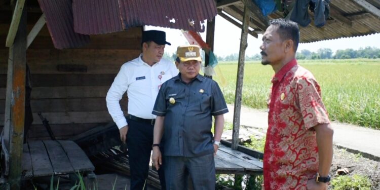 Bupati Kapuas H Muhammad Wiyatno meninjau persiapan panen raya di Kecamatan Tamban Catur.